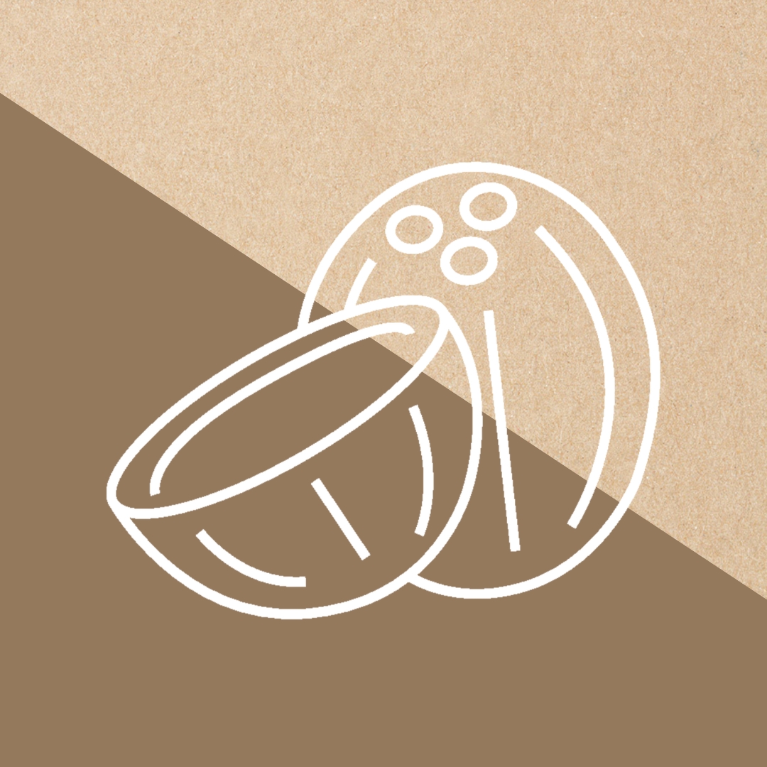 Illustrations of the category Kokos